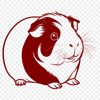 A cute, furry guinea pig illustration suitable for vector graphics design.