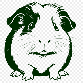 A digital illustration of a guinea pig, suitable for personal or commercial use in various design projects.
