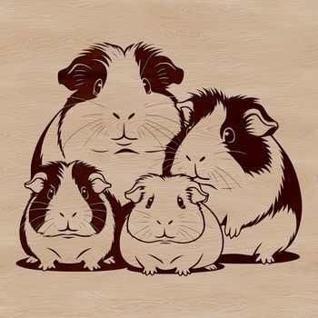 An SVG design featuring a cute guinea pig.