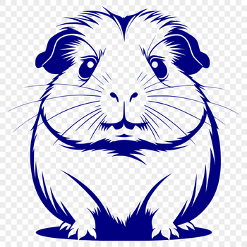 A small furry guinea pig with large round eyes, posed on a plain background.