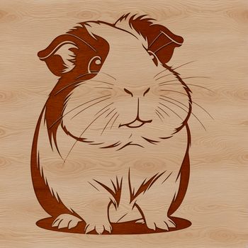A detailed illustration of a guinea pig, suitable for use in digital designs such as vector art and clipart.