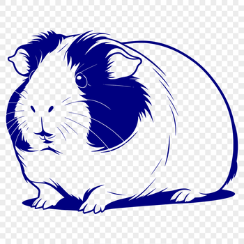 A detailed illustration of a guinea pig for use in vector graphics and digital designs.