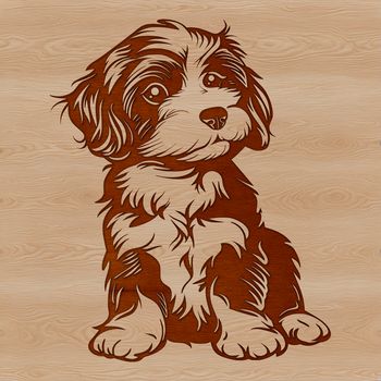 Close-up illustration of a sitting Havanese dog breed with a gentle expression.