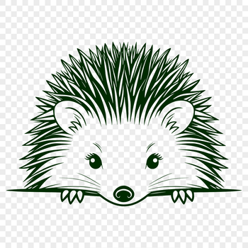 A small, spiky hedgehog illustrated in vector format.
