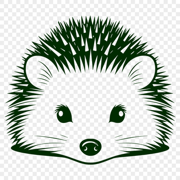 A stylized illustration of a hedgehog peeking out from behind foliage, created as a vector graphic.