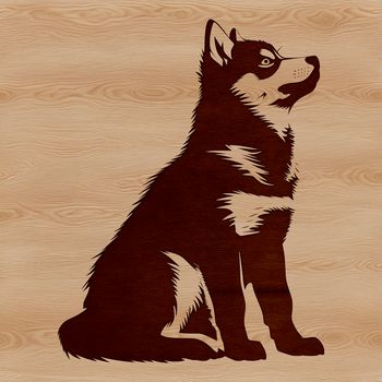 A sitting dog breed with thick fur, commonly kept as a pet.