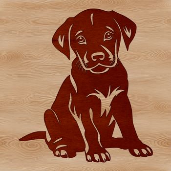 Labrador Retriever breed illustration, vector art