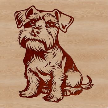 A small-sized dog breed, the Miniature Schnauzer, is depicted sitting in this vector illustration.