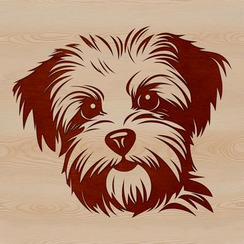 A small Morkie dog's head with features suitable for vector design, making it ideal for various digital applications.