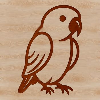 Simple line drawing of a colorful parrot with expressive facial features.