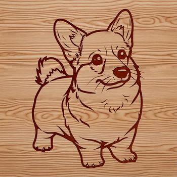 A standing dog breed, specifically a Corgi, illustrated as vector art.