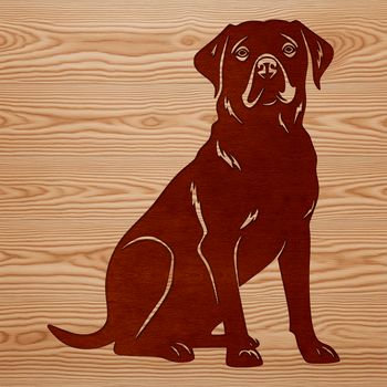 A sitting Labrador Retriever, depicted in vector design.
