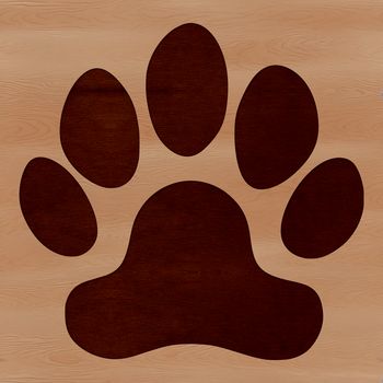 A close-up view of a single animal paw print with detailed fur texture.