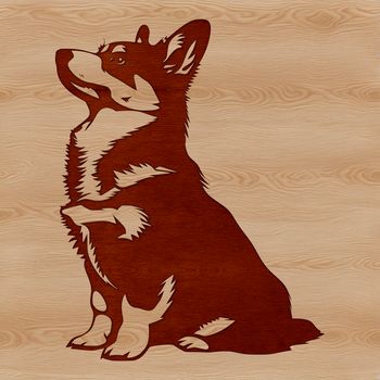 A small to medium-sized dog with a thick coat and erect ears, sitting on its hind legs.