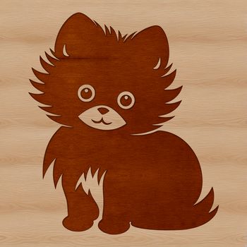 A small, fluffy dog breed with a thick double coat sitting on its hind legs.