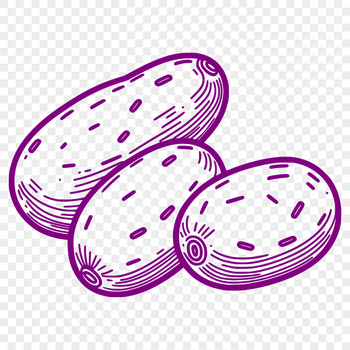 A high-resolution, editable illustration of a potato for graphic design projects.