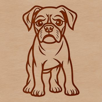 A standing Boxer dog with a calm expression.