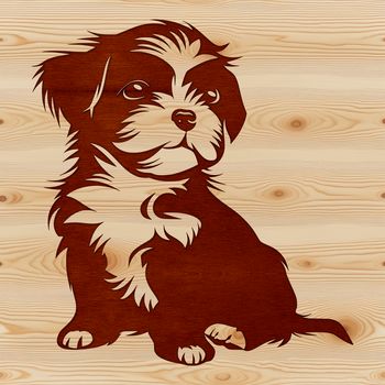 A small breed dog sitting upright with a calm expression.