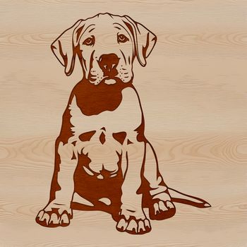 Large breed dog sitting on floor, illustration suitable for pet owners and animal enthusiasts.