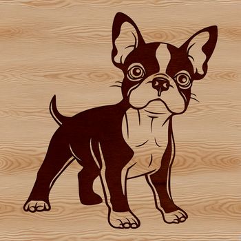 A small breed dog standing on its hind legs, with a friendly expression.