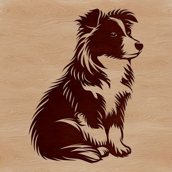 A small breed dog, specifically a Shetland Sheepdog, sitting upright on its hind legs.