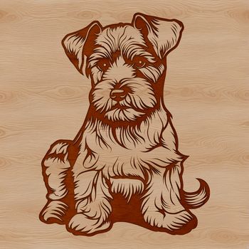 A detailed illustration of a seated miniature dog with a distinctive beard.