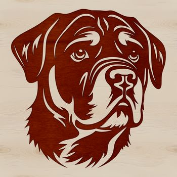 A high-quality digital illustration of a Rottweiler's head and face.
