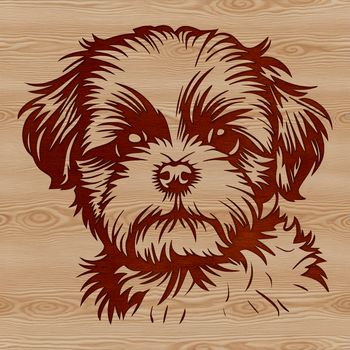 A cute Shih Tzu dog's head with its distinctive features.