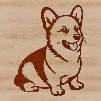 A seated Welsh Corgi breed dog with a sturdy build and long ears.