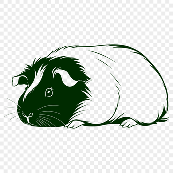 A small rodent with distinctive fur pattern.