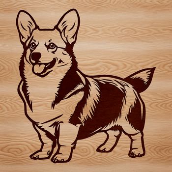 A high-quality vector illustration of a standing Welsh Corgi.