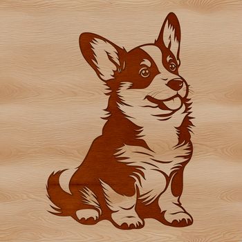 A small-sized dog breed, the Welsh Corgi sits on its hind legs with a friendly demeanor.