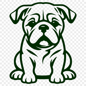 A sitting bulldog with wrinkled skin and floppy ears.