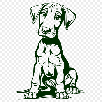 Close-up illustration of a Doberman Pinscher sitting with its body fully visible.