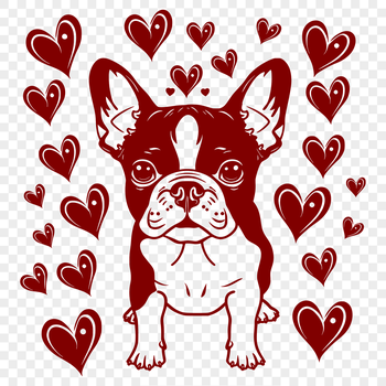 A full-body illustration of a Boston Terrier sitting on its haunches, with love hearts surrounding it.