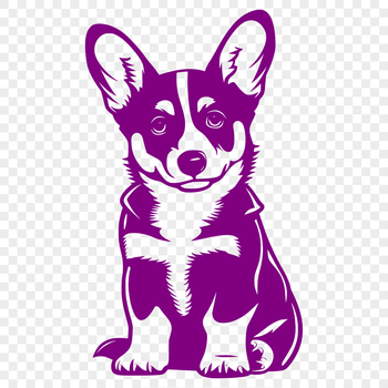A cute Welsh corgi sitting on its hind legs, depicted in a clear vector format.