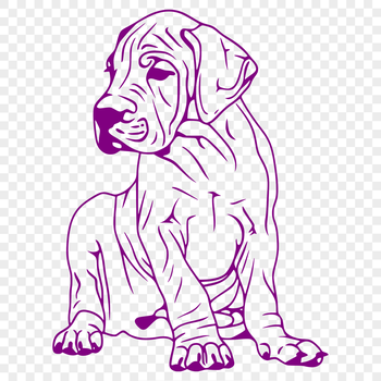 Large breed dog sitting on the floor with a calm expression, depicted in a vector format.