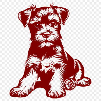 A small dog breed with a distinctive beard, sitting in a upright position.