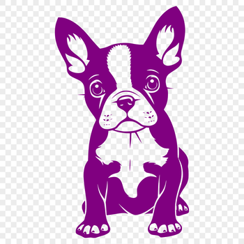 A detailed illustration of a sitting Boston Terrier dog in full body pose.