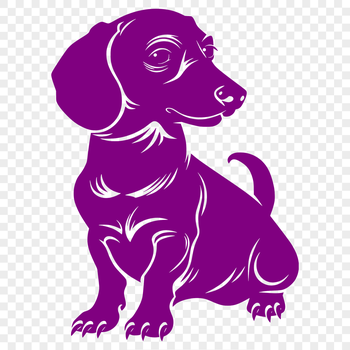 A vector illustration of a sitting dachshund dog in full body view.