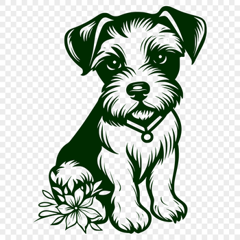 A small to medium-sized dog breed with a distinctive beard and eyebrows, depicted in a full-body pose.