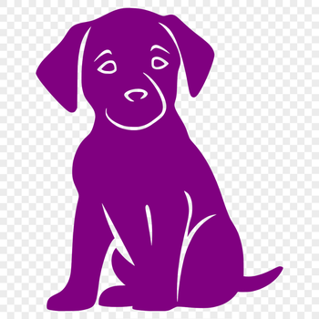 A sitting Labrador Retriever in full body pose, suitable for design projects.