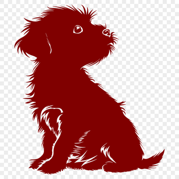 A full-body illustration of a Havanese dog sitting in a relaxed position.