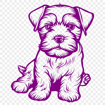 Miniature Schnauzer dog breed illustration in full body pose sitting on ground.