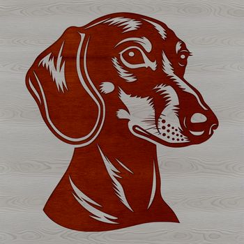 Close-up illustration of a Dachshund's head and body, suitable for cutting machine designs or vector graphics.