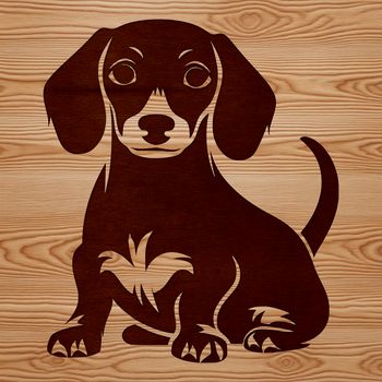 Close-up illustration of a sitting dachshund dog with simple lines and textures.