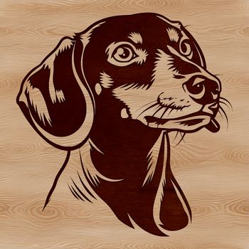A cartoon-style illustration of a dachshund's head, suitable for vector design.