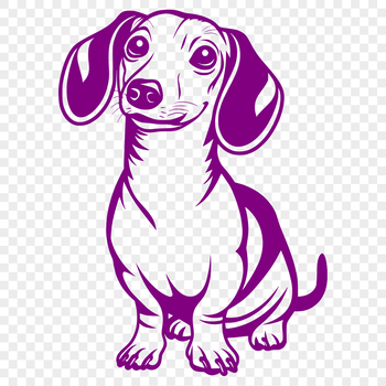 A full-body illustration of a sitting dachshund breed dog in simple vector design.
