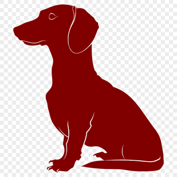 A full-body illustration of a sitting dachshund dog in simple line art style.