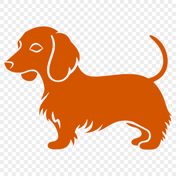A detailed vector illustration of a full-body dachshund dog standing upright.